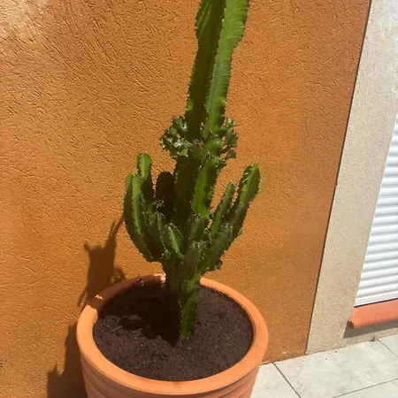 Nyaraló Le Soleil Du Brusc *